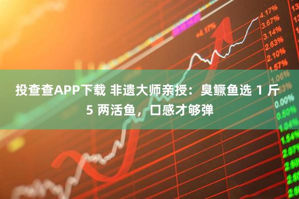 投查查APP下载 非遗大师亲授：臭鳜鱼选 1 斤 5 两活鱼，口感才够弹