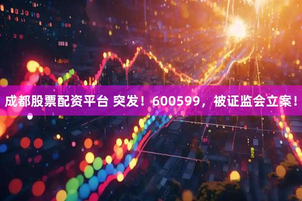 成都股票配资平台 突发！600599，被证监会立案！