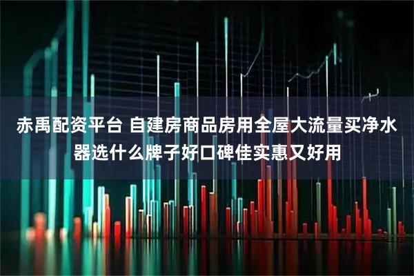 赤禹配资平台 自建房商品房用全屋大流量买净水器选什么牌子好口碑佳实惠又好用