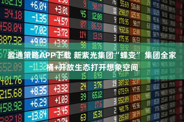 盈通策略APP下载 新紫光集团“蝶变” 集团全家桶+开放生态打开想象空间