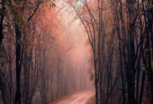 买卖股票开户及交易流程:股票在哪个平台买-周末要闻汇总：证监会主席吴清发声 持续巩固资本市场回稳向好势头