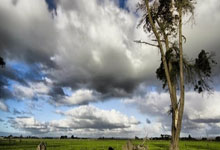 配资网络炒股配资:买一个公司的股票有没有分红-中俄朝三国领导人将在北京会晤？外交部回应