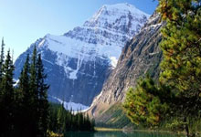 如何用手机交易股票:实盘股票杠杆平台-一则传闻引爆市场！机器人板块逆市崛起 究竟发生了什么？