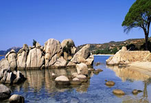 杠杆炒股软件下载:可查的实盘配资公司-什么信号？基金大手笔买入这些金融股